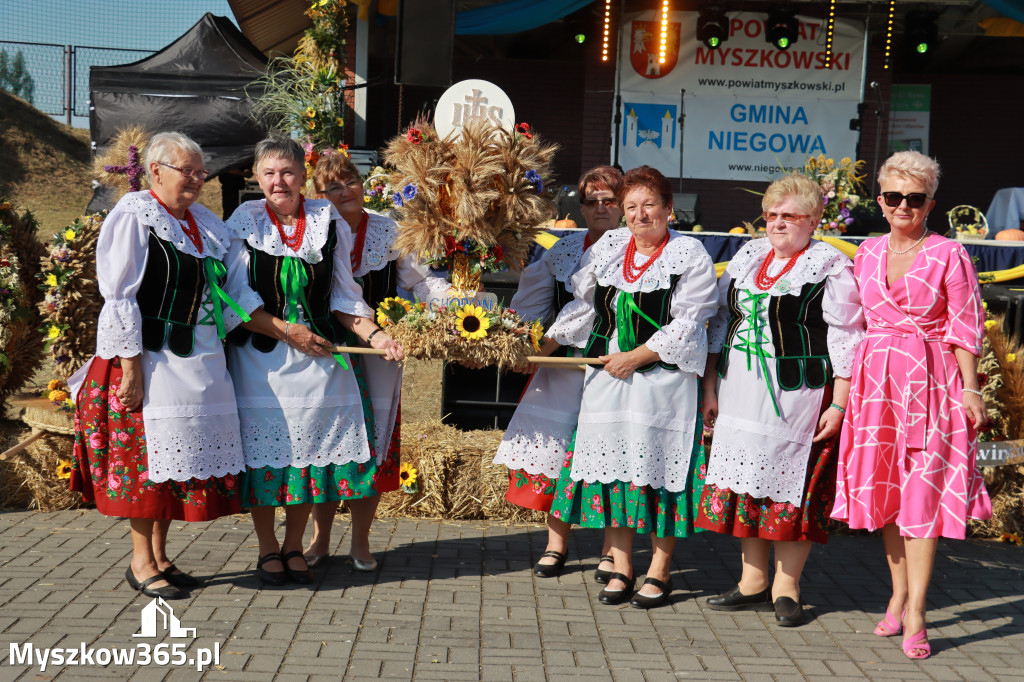 Fotorelacja Niegowa II: Dożynki Powiatowo Gminne