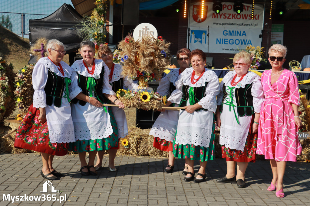 Fotorelacja Niegowa II: Dożynki Powiatowo Gminne