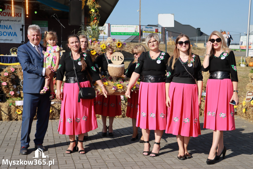 Fotorelacja Niegowa II: Dożynki Powiatowo Gminne