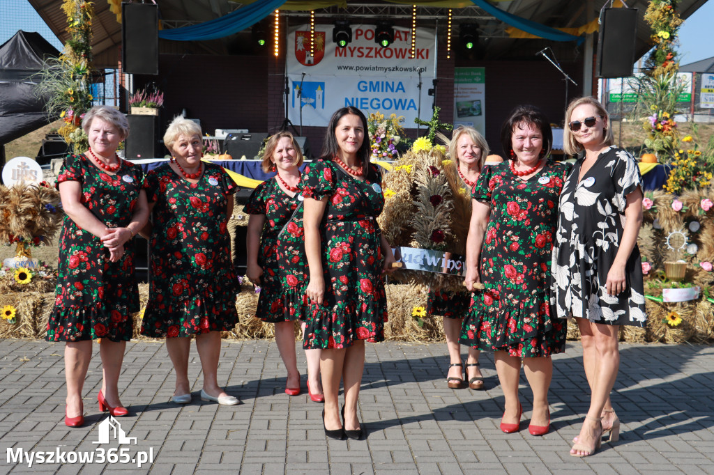 Fotorelacja Niegowa II: Dożynki Powiatowo Gminne