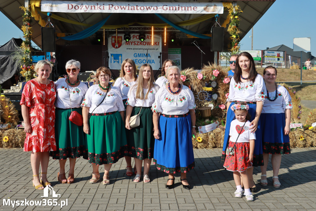 Fotorelacja Niegowa II: Dożynki Powiatowo Gminne