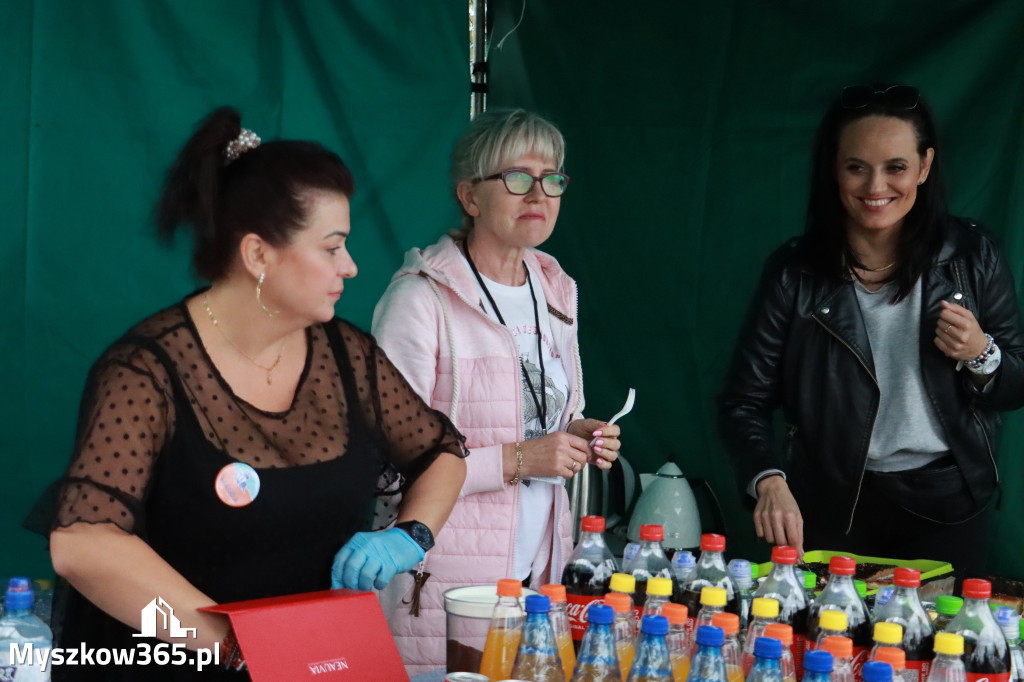 Fotorelacja: Piknik Inauguracyjny Stowarzyszenia MRZYGŁÓD