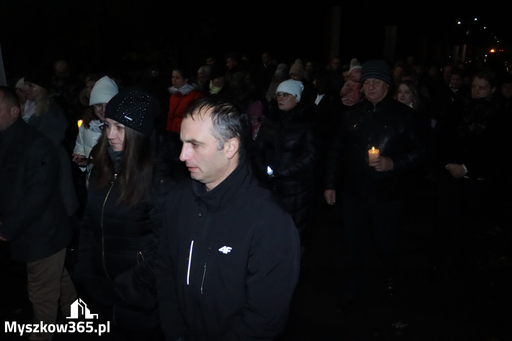 Fotorelacja I: Powitanie Świętego Obrazu Matki Boskiej Częstochowskiej w Cynkowie