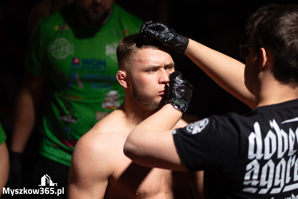 Fotorelacja: Silesianmma Zawiercie cz1