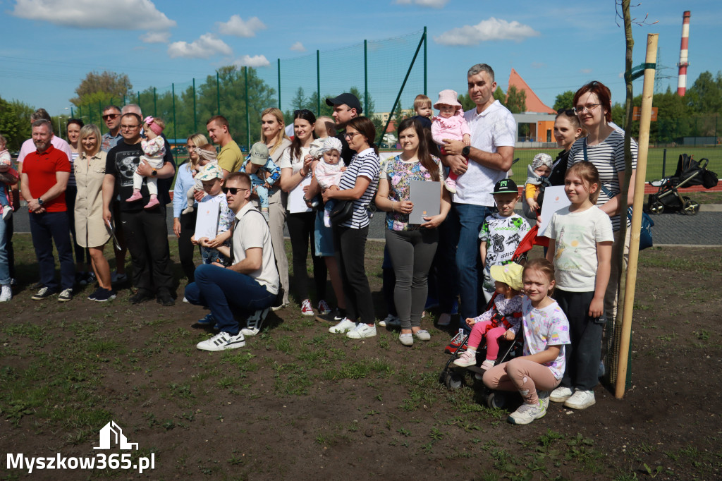 Fotorelacja: Święto Pracy i rocznica wstąpienia do UE - Majówka w Myszkowie