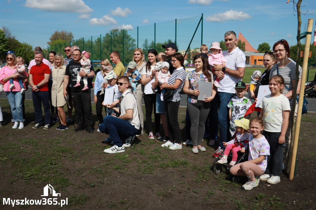 Fotorelacja: Święto Pracy i rocznica wstąpienia do UE - Majówka w Myszkowie