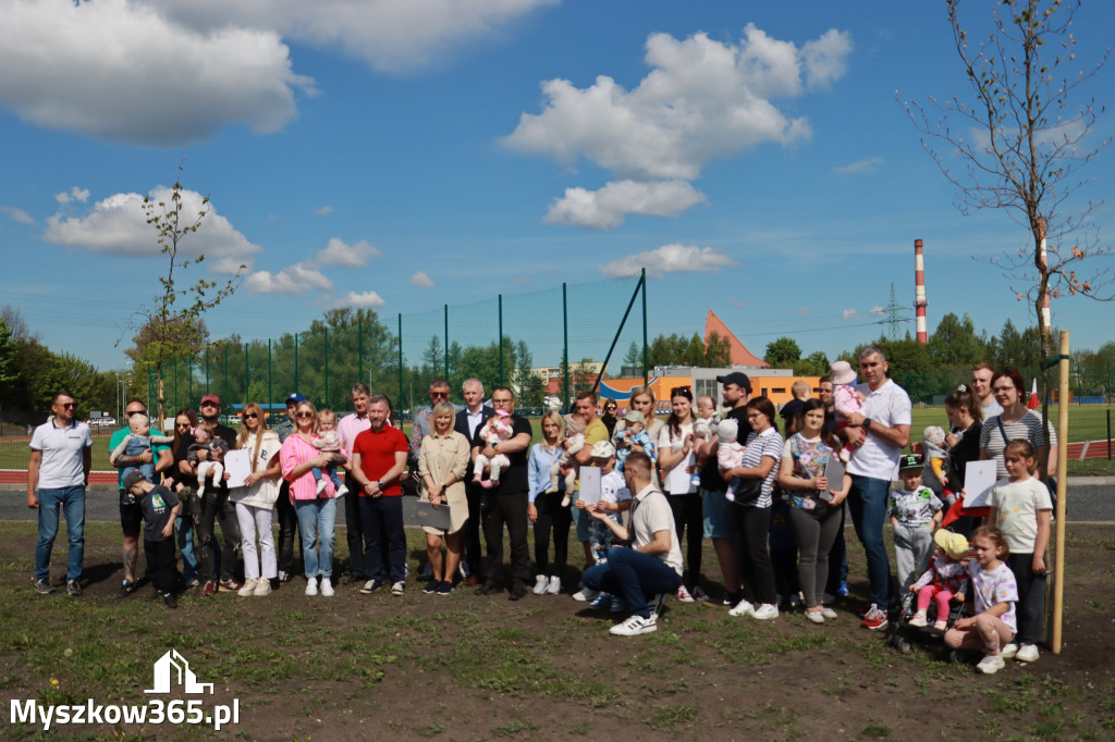 Fotorelacja: Święto Pracy i rocznica wstąpienia do UE - Majówka w Myszkowie