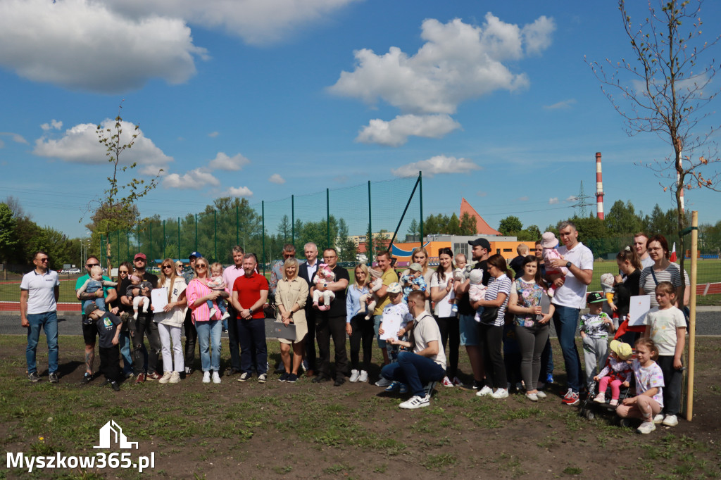 Fotorelacja: Święto Pracy i rocznica wstąpienia do UE - Majówka w Myszkowie