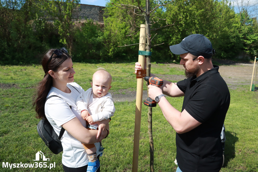 Fotorelacja: Święto Pracy i rocznica wstąpienia do UE - Majówka w Myszkowie