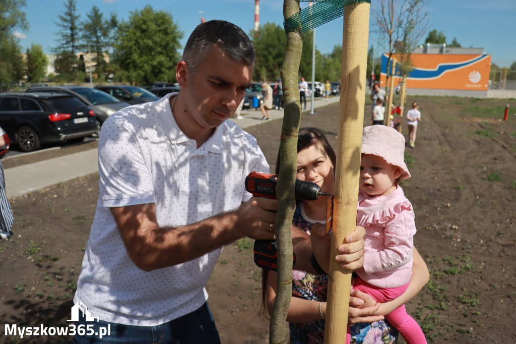 Fotorelacja: Święto Pracy i rocznica wstąpienia do UE - Majówka w Myszkowie