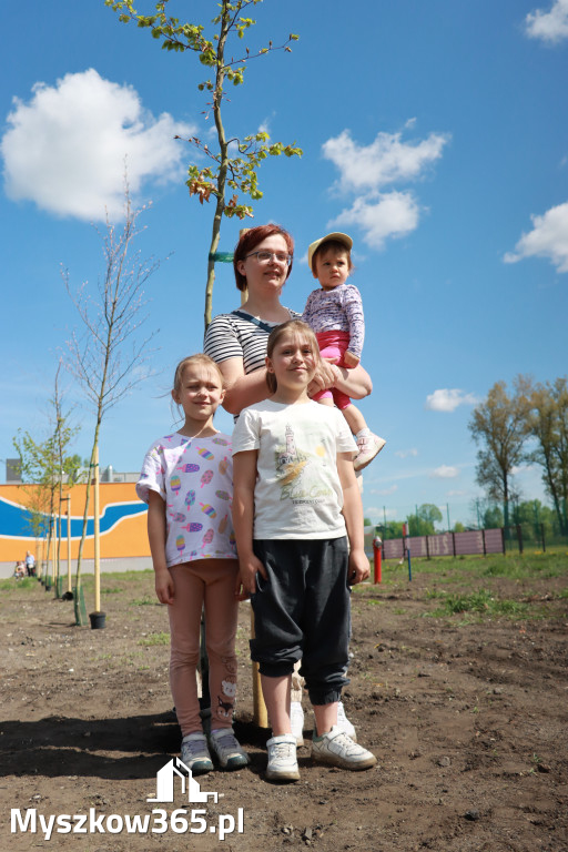 Fotorelacja: Święto Pracy i rocznica wstąpienia do UE - Majówka w Myszkowie