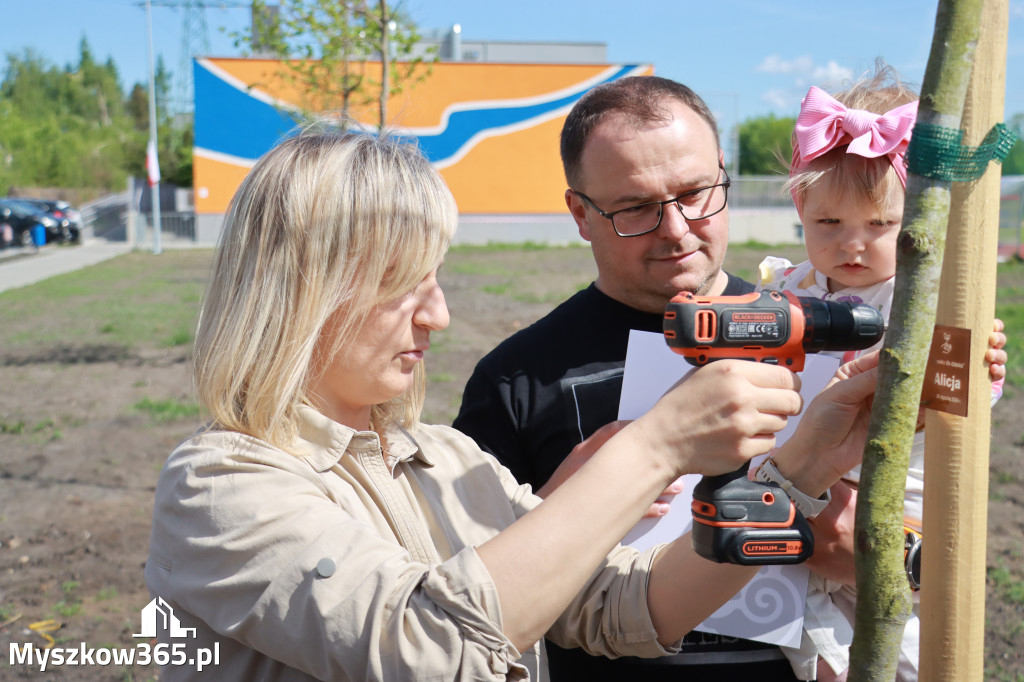 Fotorelacja: Święto Pracy i rocznica wstąpienia do UE - Majówka w Myszkowie