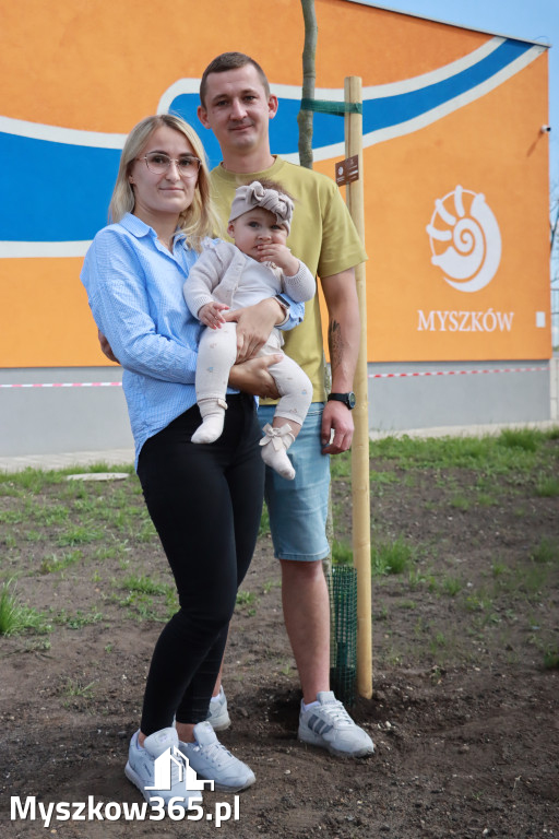 Fotorelacja: Święto Pracy i rocznica wstąpienia do UE - Majówka w Myszkowie