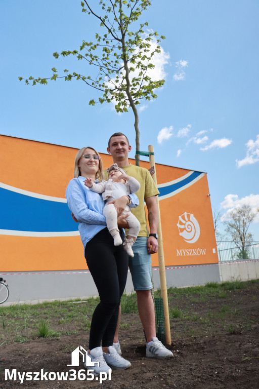 Fotorelacja: Święto Pracy i rocznica wstąpienia do UE - Majówka w Myszkowie