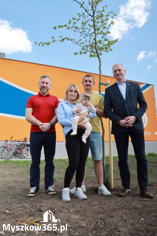 Fotorelacja: Święto Pracy i rocznica wstąpienia do UE - Majówka w Myszkowie