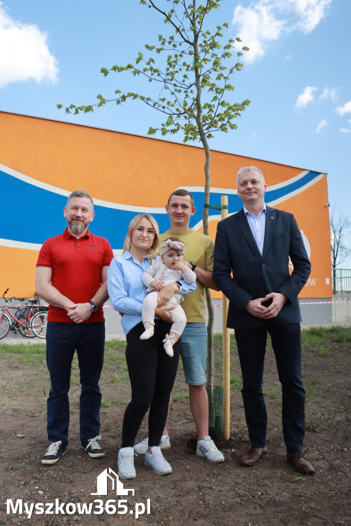 Fotorelacja: Święto Pracy i rocznica wstąpienia do UE - Majówka w Myszkowie