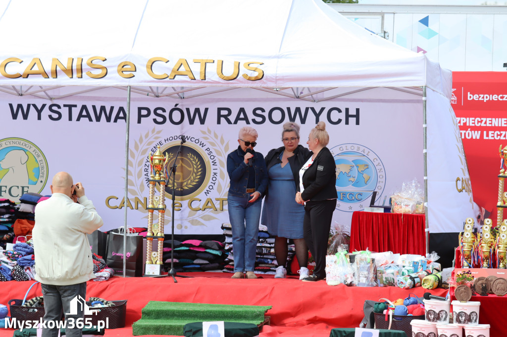 Fotorelacja: Międzynarodowa Wystawa Psów Rasowych w Jastrzębiu