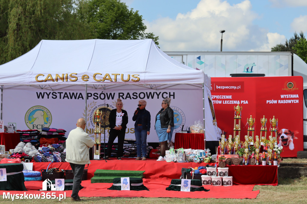 Fotorelacja: Międzynarodowa Wystawa Psów Rasowych w Jastrzębiu