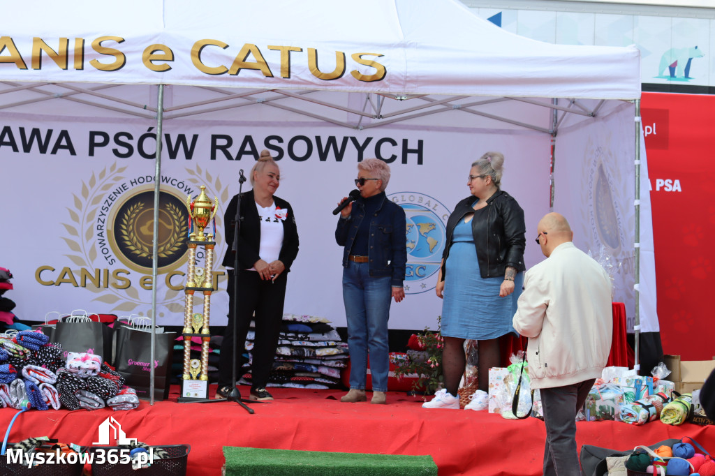 Fotorelacja: Międzynarodowa Wystawa Psów Rasowych w Jastrzębiu