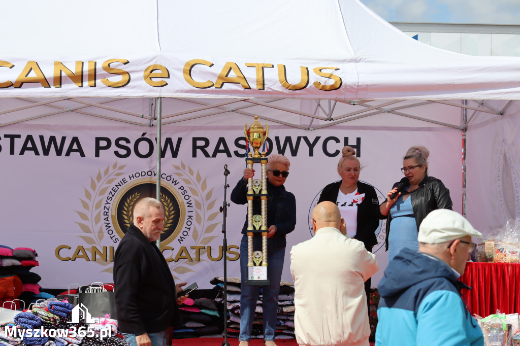 Fotorelacja: Międzynarodowa Wystawa Psów Rasowych w Jastrzębiu