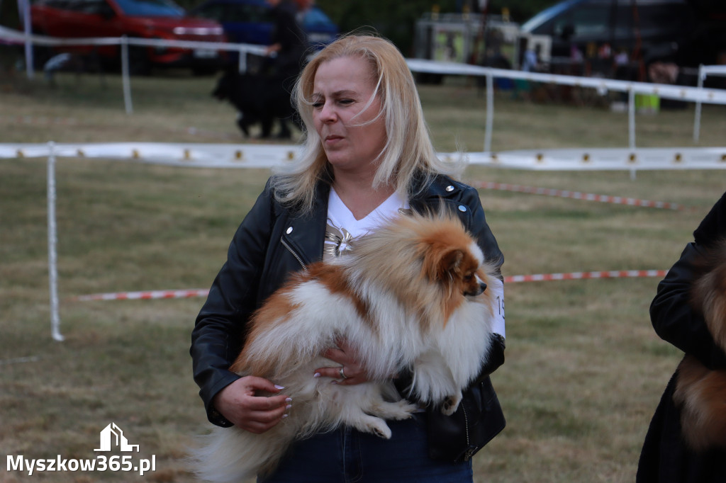 Fotorelacja: Międzynarodowa Wystawa Psów Rasowych w Jastrzębiu