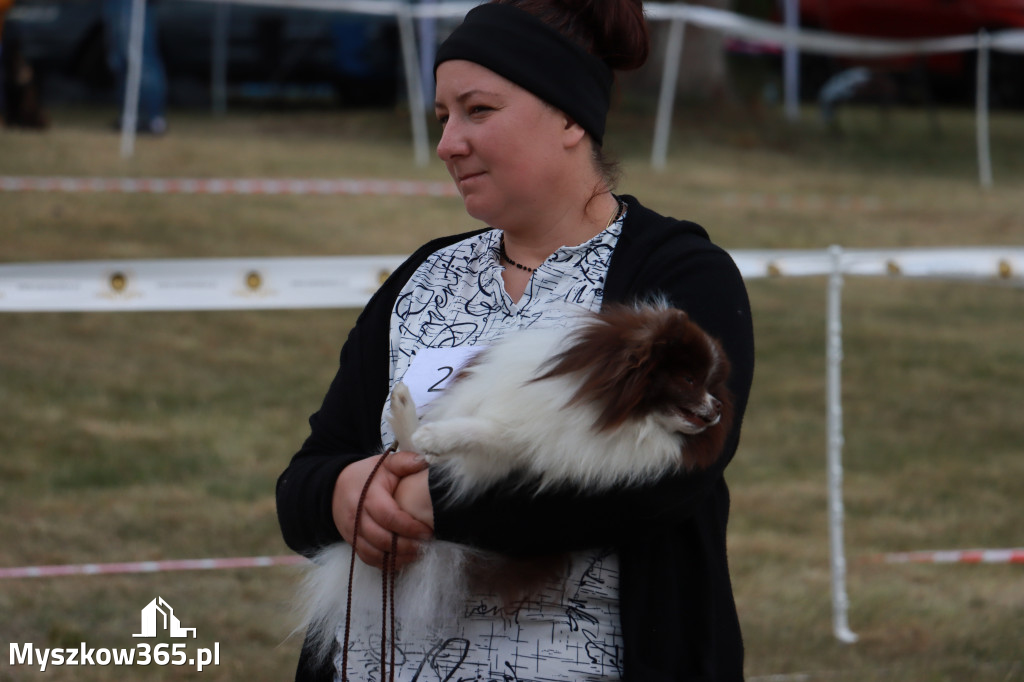 Fotorelacja: Międzynarodowa Wystawa Psów Rasowych w Jastrzębiu
