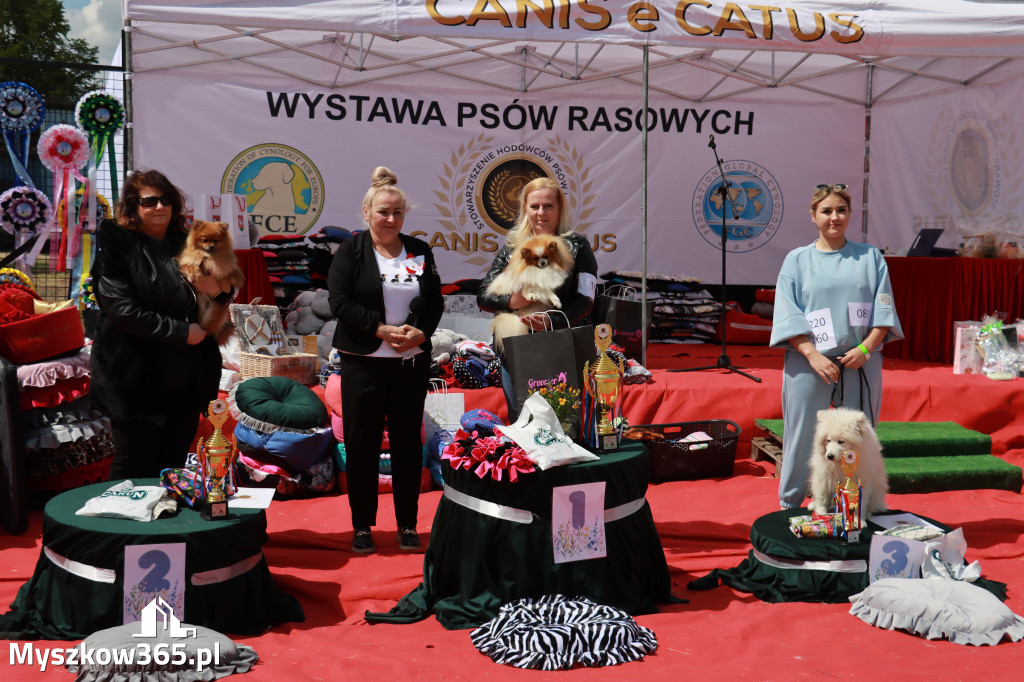 Fotorelacja: Międzynarodowa Wystawa Psów Rasowych w Jastrzębiu