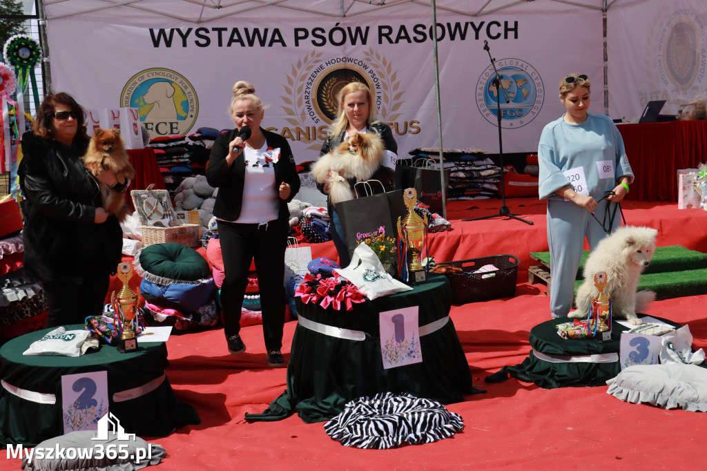 Fotorelacja: Międzynarodowa Wystawa Psów Rasowych w Jastrzębiu