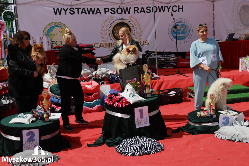Fotorelacja: Międzynarodowa Wystawa Psów Rasowych w Jastrzębiu