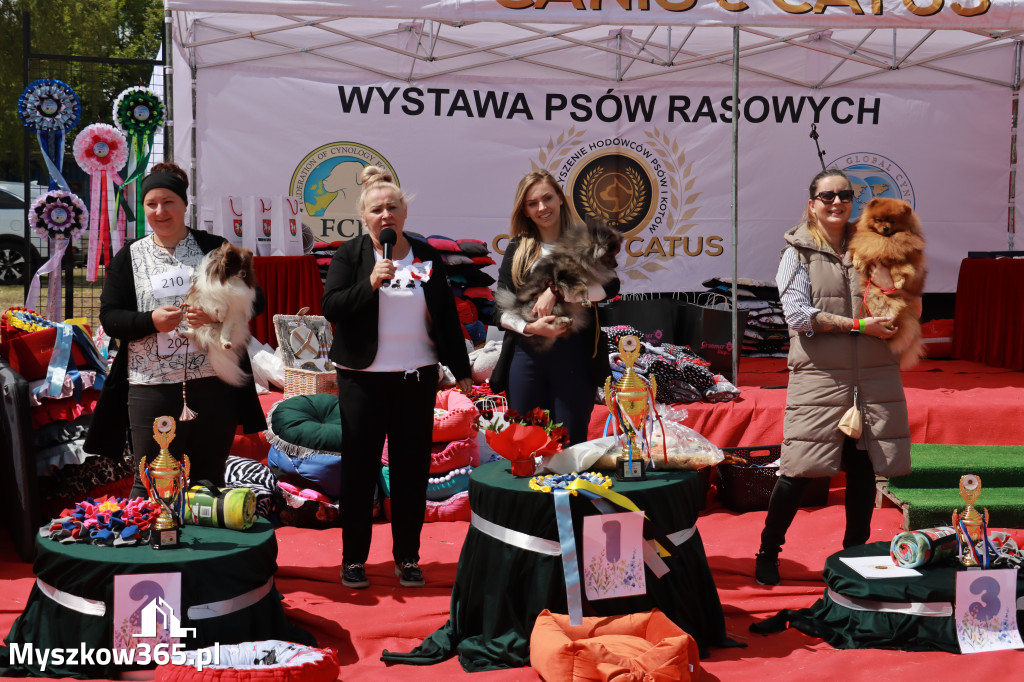 Fotorelacja: Międzynarodowa Wystawa Psów Rasowych w Jastrzębiu