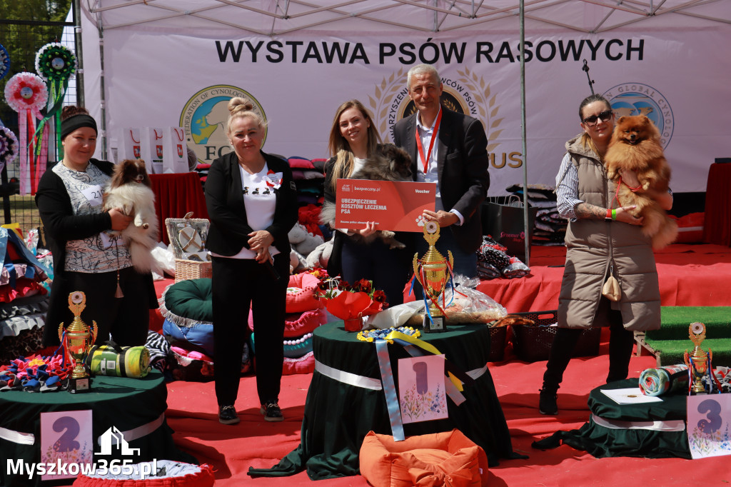 Fotorelacja: Międzynarodowa Wystawa Psów Rasowych w Jastrzębiu
