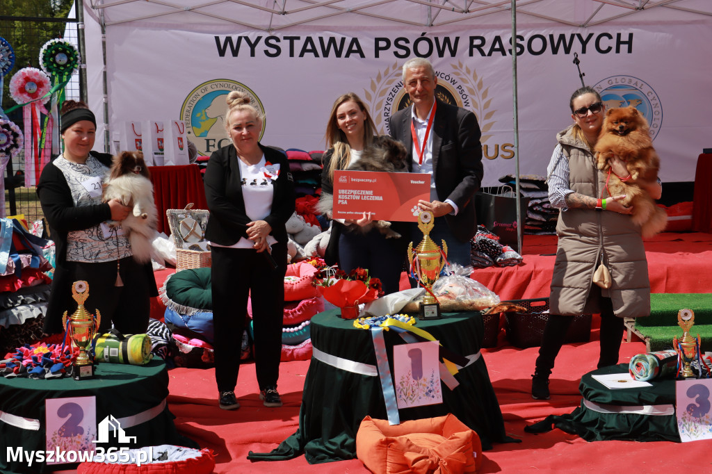 Fotorelacja: Międzynarodowa Wystawa Psów Rasowych w Jastrzębiu