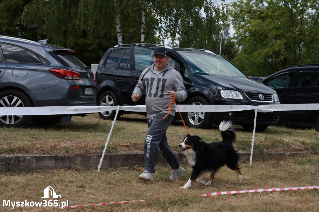 Fotorelacja: Międzynarodowa Wystawa Psów Rasowych w Jastrzębiu