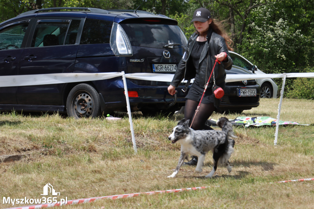 Fotorelacja: Międzynarodowa Wystawa Psów Rasowych w Jastrzębiu
