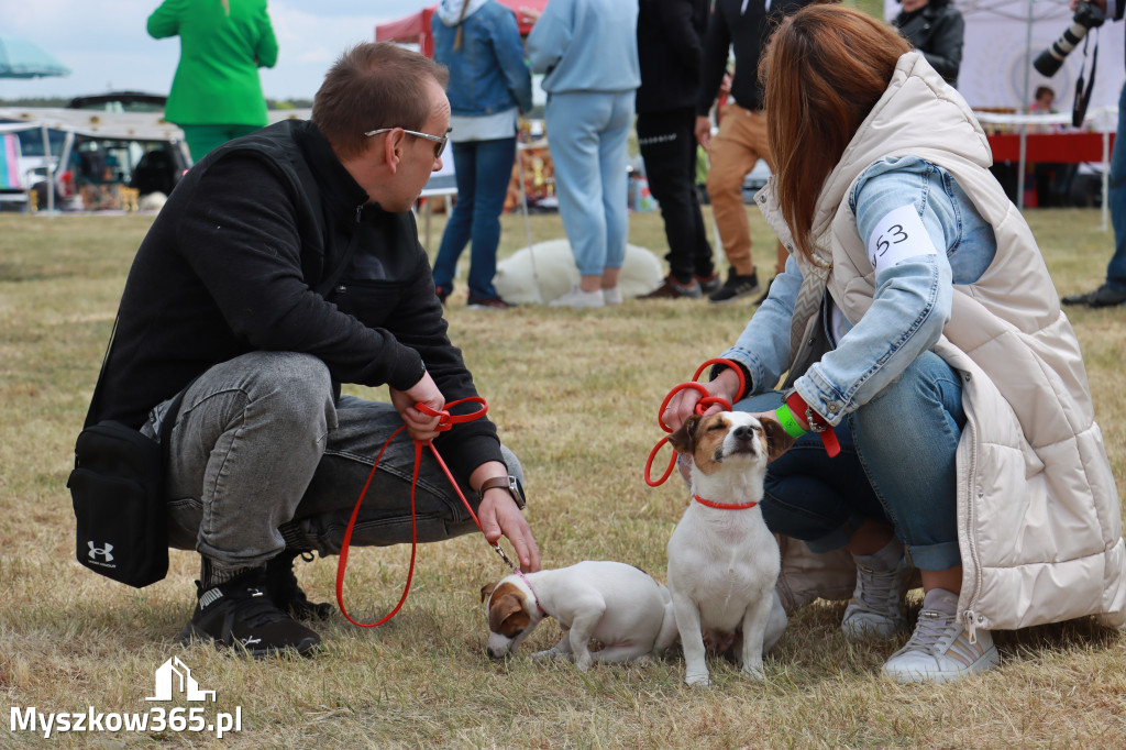 Fotorelacja: Międzynarodowa Wystawa Psów Rasowych w Jastrzębiu