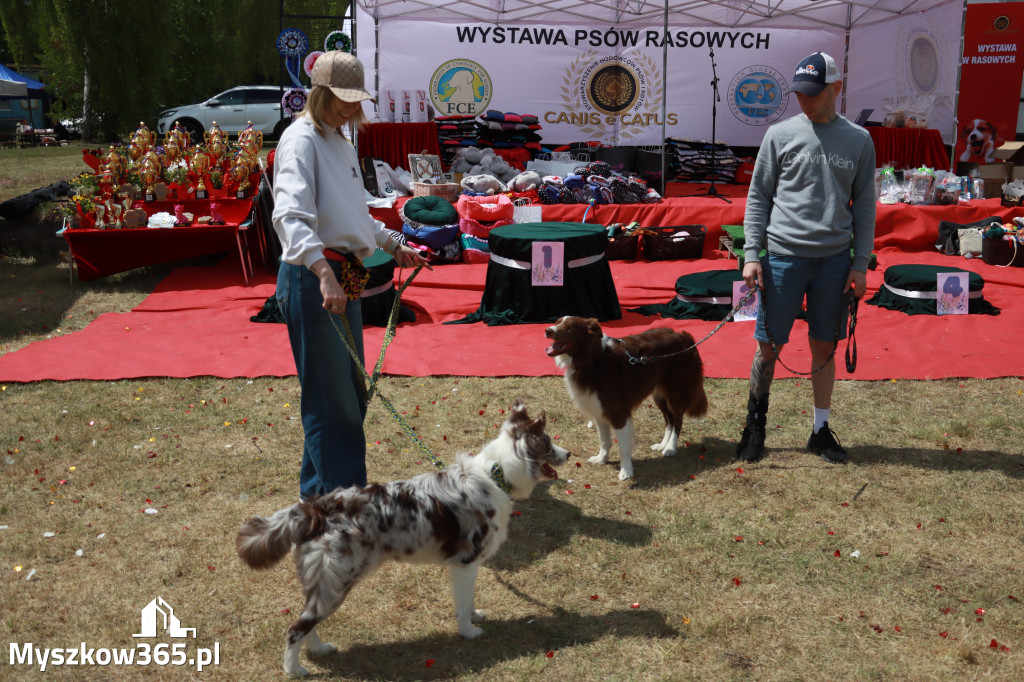 Fotorelacja: Międzynarodowa Wystawa Psów Rasowych w Jastrzębiu