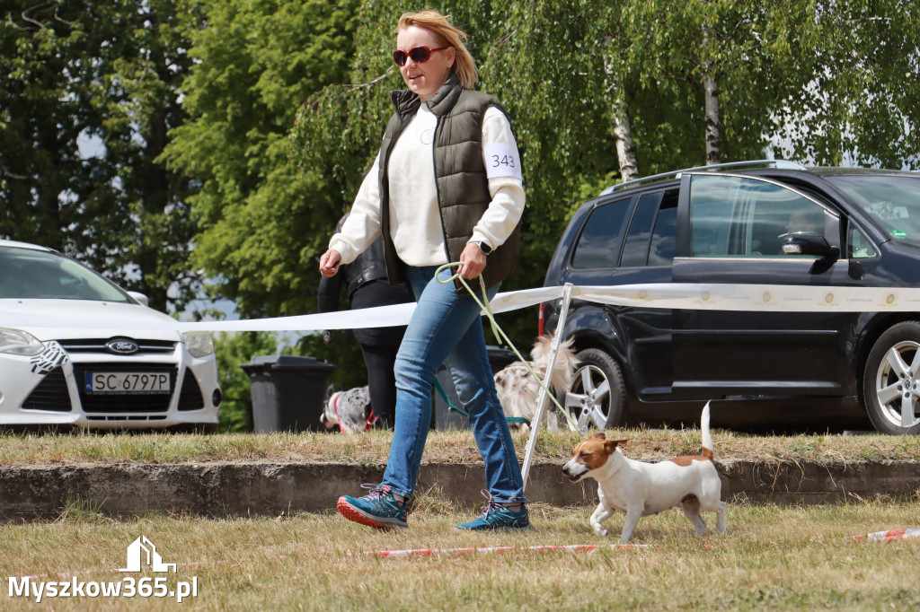 Fotorelacja: Międzynarodowa Wystawa Psów Rasowych w Jastrzębiu