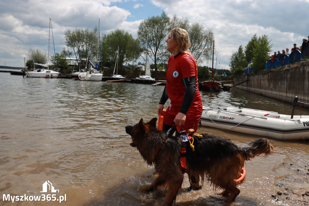 Fotorelacja: Międzynarodowa Wystawa Psów Rasowych w Jastrzębiu