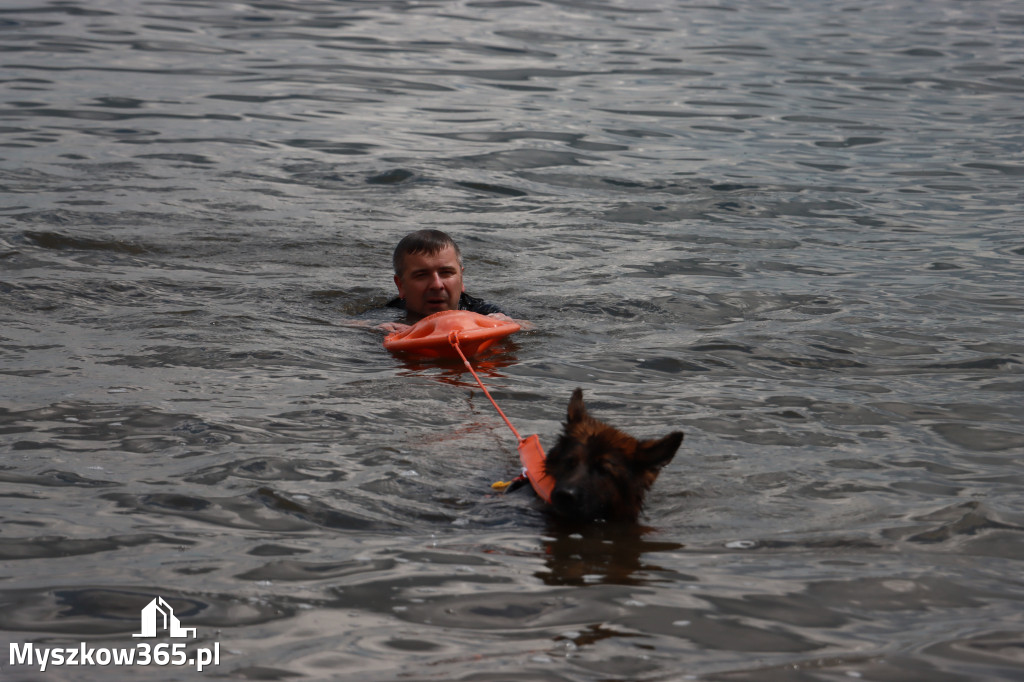 Fotorelacja: Międzynarodowa Wystawa Psów Rasowych w Jastrzębiu