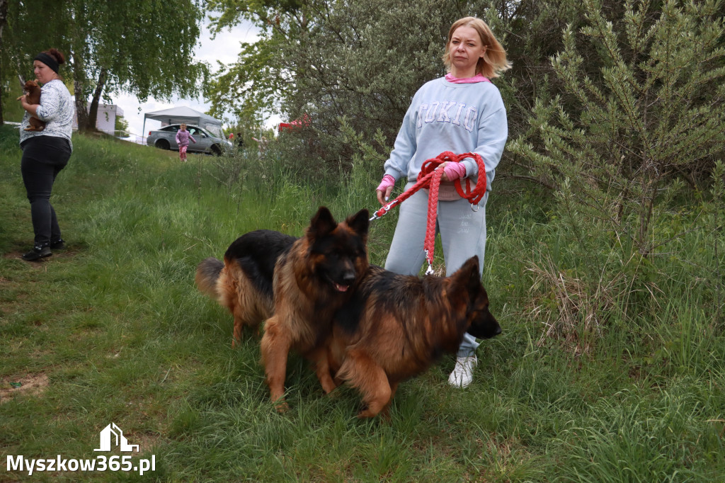 Fotorelacja: Międzynarodowa Wystawa Psów Rasowych w Jastrzębiu