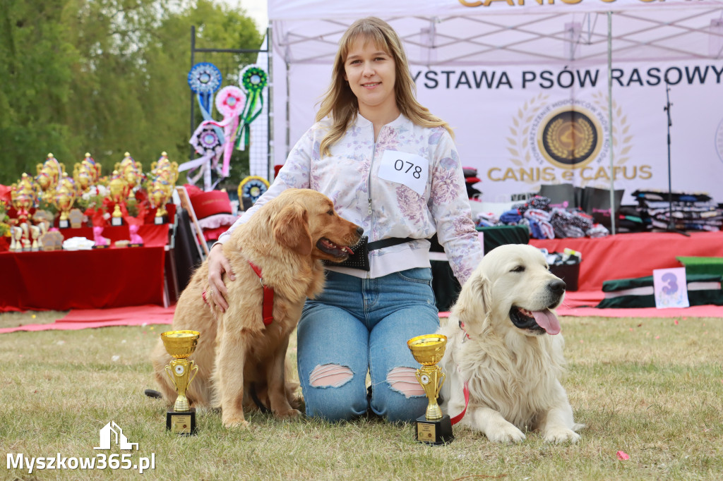 Fotorelacja: Międzynarodowa Wystawa Psów Rasowych w Jastrzębiu