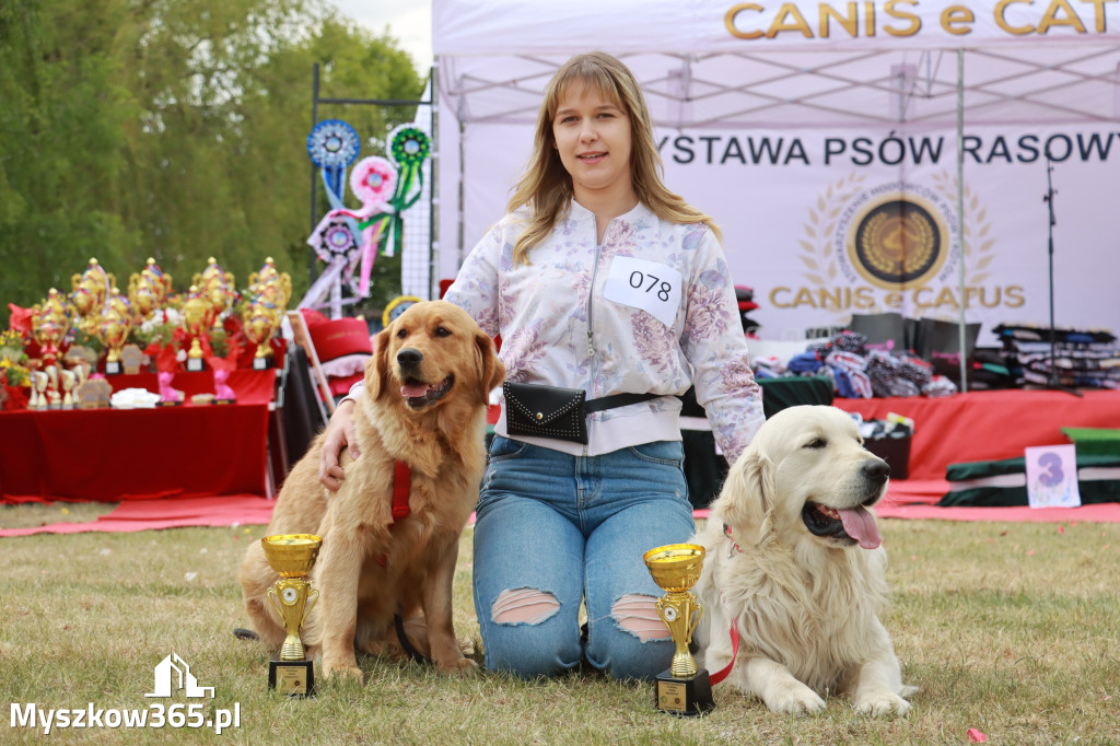 Fotorelacja: Międzynarodowa Wystawa Psów Rasowych w Jastrzębiu