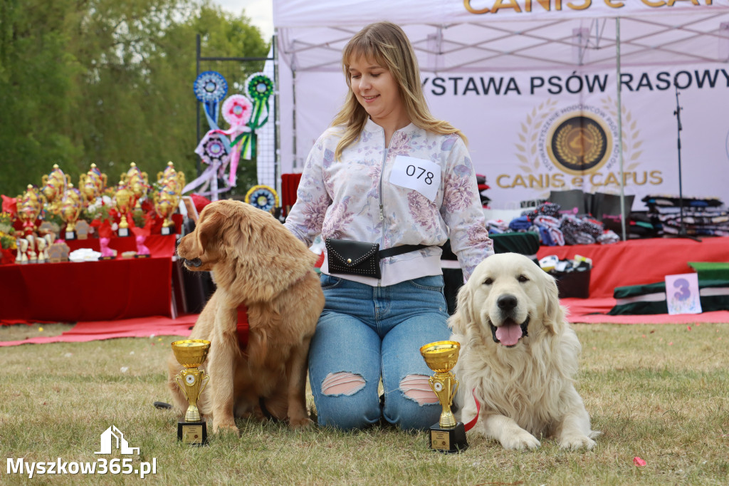Fotorelacja: Międzynarodowa Wystawa Psów Rasowych w Jastrzębiu