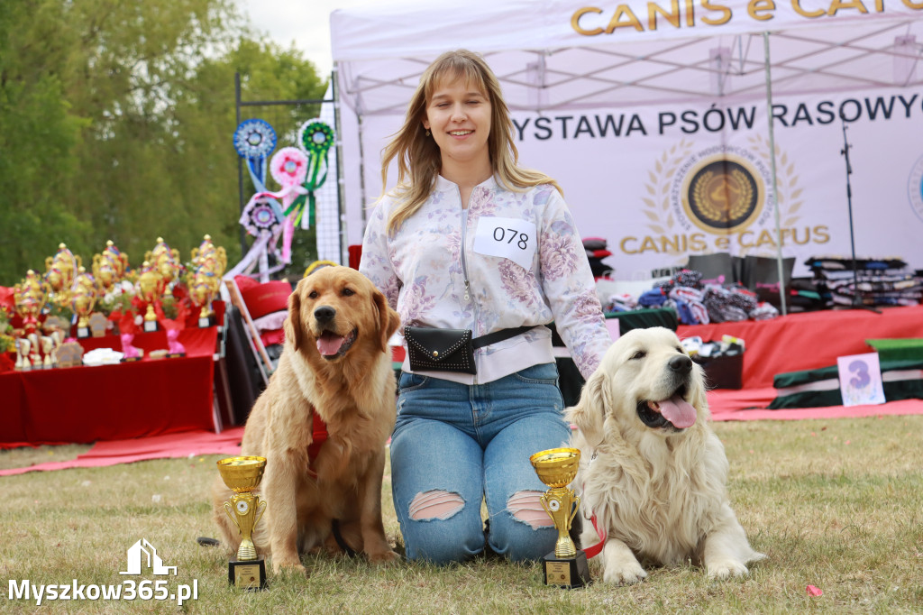 Fotorelacja: Międzynarodowa Wystawa Psów Rasowych w Jastrzębiu