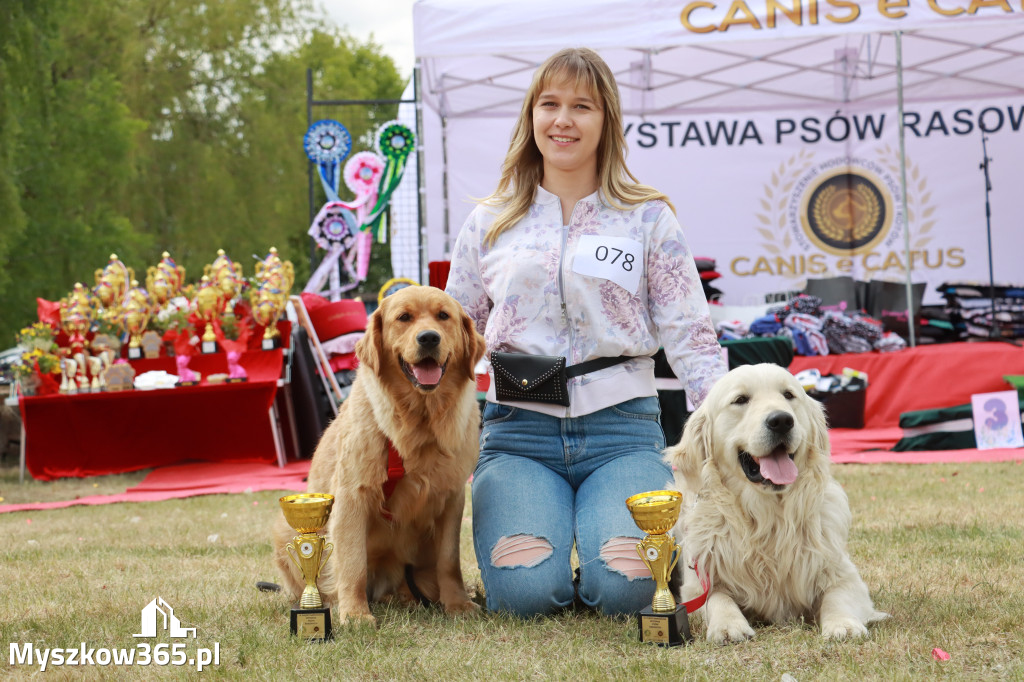 Fotorelacja: Międzynarodowa Wystawa Psów Rasowych w Jastrzębiu