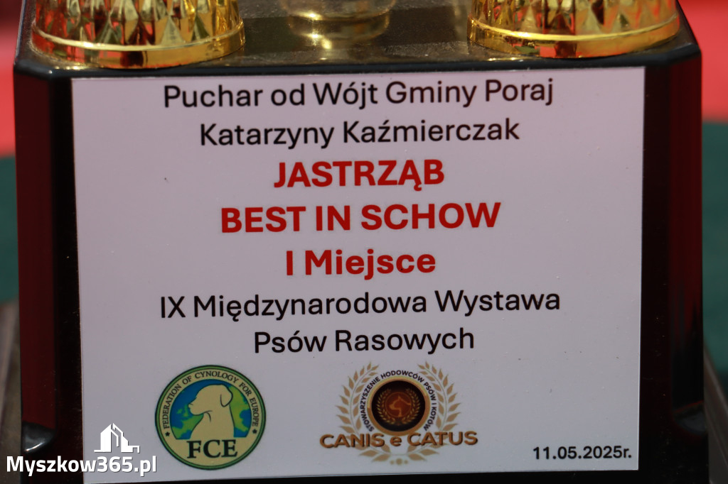 Fotorelacja: Międzynarodowa Wystawa Psów Rasowych w Jastrzębiu