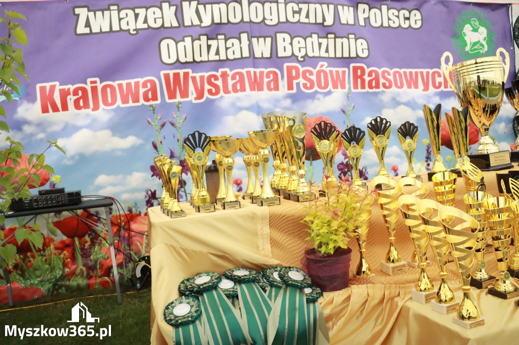 Fotorelacja: Wystawa Psów Rasowych 2025 – Gniazdów Gmina Koziegłowy