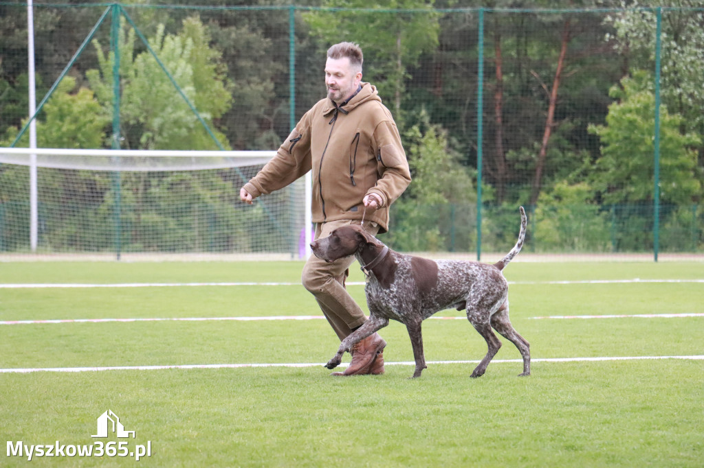 Fotorelacja: Wystawa Psów Rasowych 2025 – Gniazdów Gmina Koziegłowy