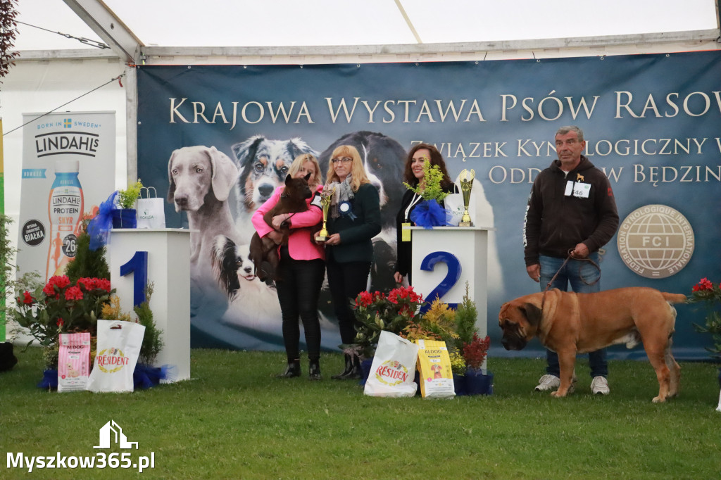 Fotorelacja II: Wystawa Psów Rasowych 2025 – Gniazdów Gmina Koziegłowy