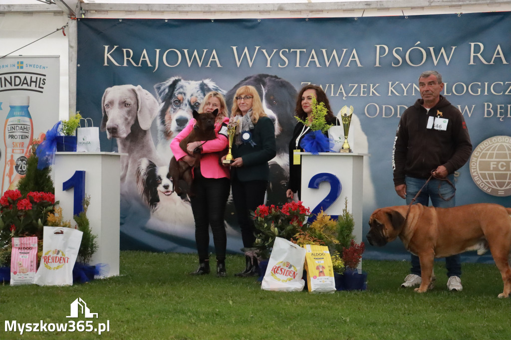 Fotorelacja II: Wystawa Psów Rasowych 2025 – Gniazdów Gmina Koziegłowy